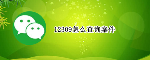 12309怎么查询案件