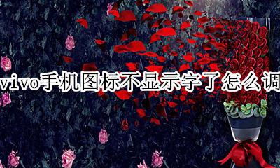 vivo手机图标不显示字了怎么调 vivo手机桌面图标没有文字显示