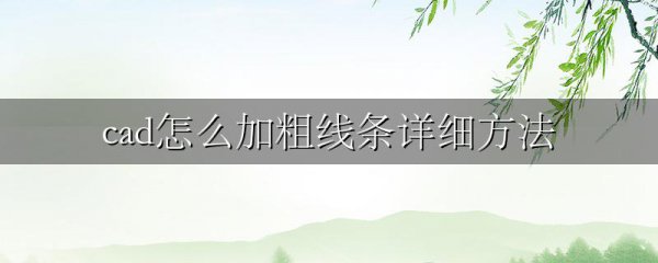 cad怎么加粗线条详细方法
