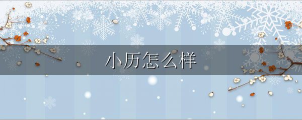 小历怎么样