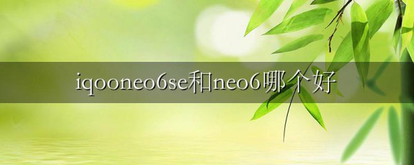 iqooneo6se和neo6哪个好