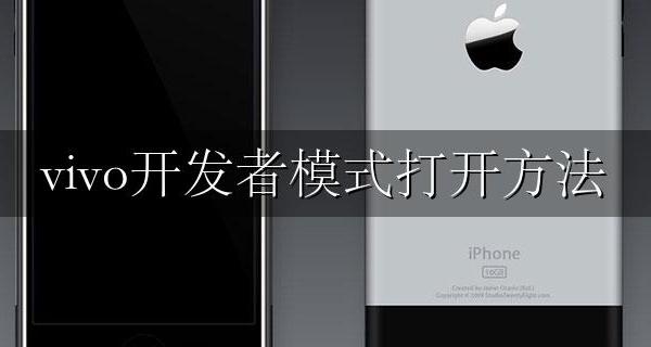 vivo开发者模式打开方法 vivo怎样打开开发者模式