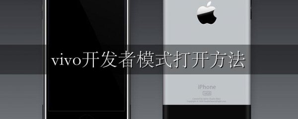 vivo开发者模式打开方法