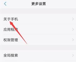 vivo开发者模式打开方法