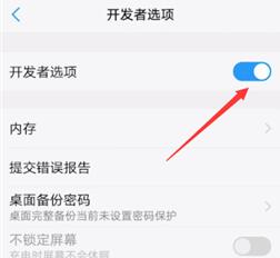 vivo开发者模式打开方法
