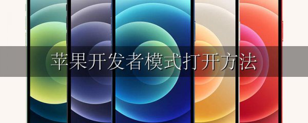 苹果开发者模式打开方法