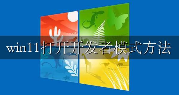 win11打开开发者模式方法 win11如何开启开发者模式
