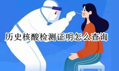 核酸检测证明查询结果 历史核酸检测证明怎么查询