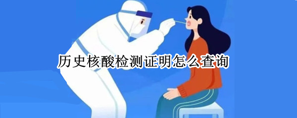历史核酸检测证明怎么查询