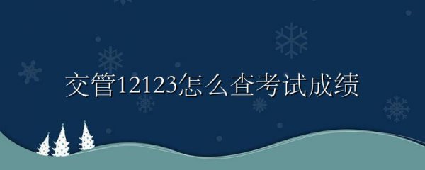 交管12123怎么查考试成绩