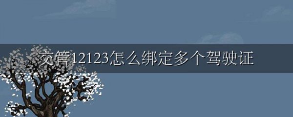 交管12123怎么绑定多个驾驶证