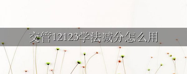 交管12123学法减分怎么用