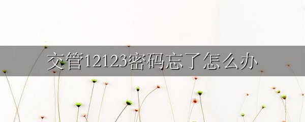 交管12123密码忘了怎么办