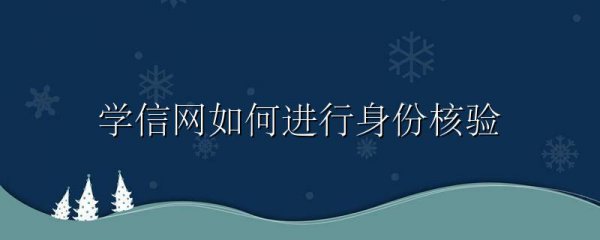 学信网如何进行身份核验