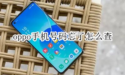 oppo手机号码忘了怎么查 oppo手机忘了电话号码怎么查