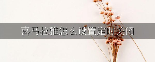 喜马拉雅怎么设置定时关闭