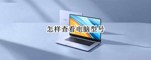 怎样查看电脑型号
