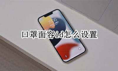 戴口罩设置面容id 口罩面容id怎么设置