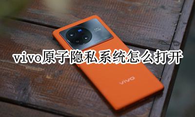 vivo原子隐私系统怎么打开 vivo手机隐私应用怎么打开