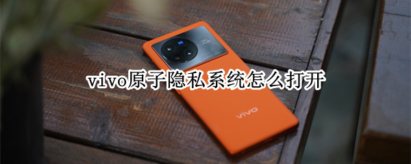 vivo原子隐私系统怎么打开
