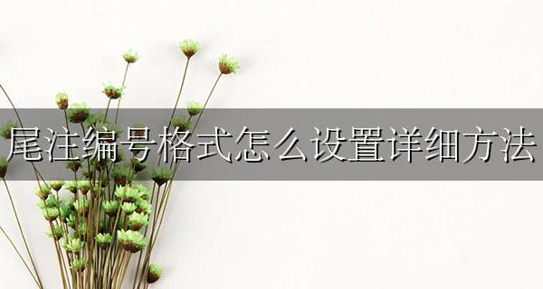 尾注的格式 尾注编号格式怎么设置详细方法