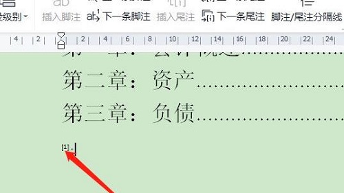 尾注怎么设置[1]详细方法