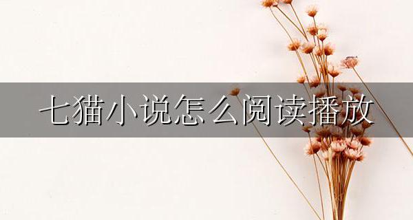 七猫小说怎么阅读播放 怎样看七猫小说完整版