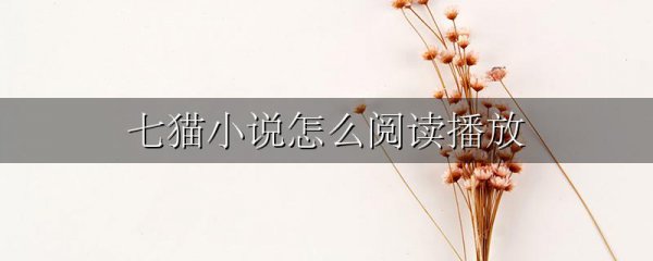 七猫小说怎么阅读播放