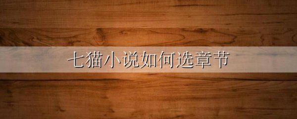 七猫小说如何选章节