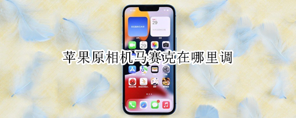 苹果原相机马赛克在哪里调