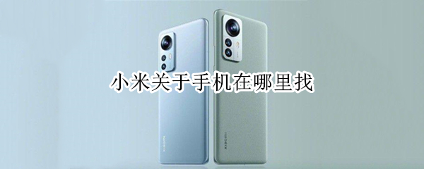 小米关于手机在哪里找