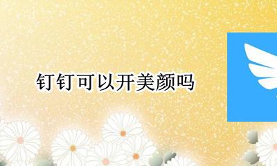 钉钉可以开美颜吗 钉钉视频可以开美颜吗?