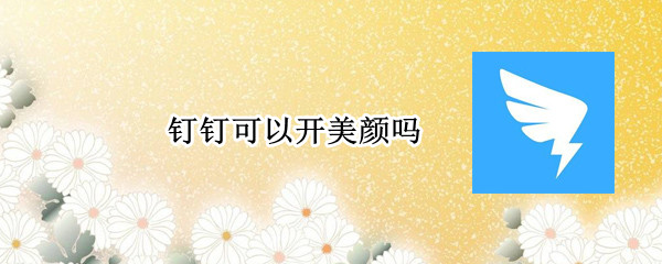钉钉可以开美颜吗