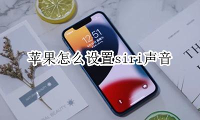 苹果怎么设置siri声音 苹果哪里设置siri声音