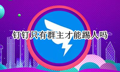 钉钉只有群主才能踢人吗 钉钉只有群主可以踢人吗
