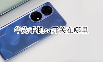 华为手机怎么开启sa 华为手机sa开关在哪里