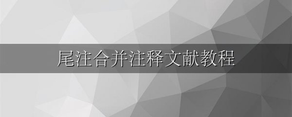 尾注合并注释文献教程
