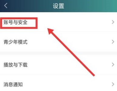 爱奇艺会员取消别人登录资格教程