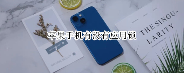 苹果手机有没有应用锁