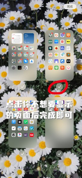 苹果手机有没有应用锁