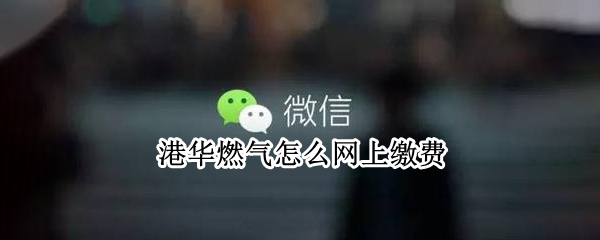 港华燃气怎么网上缴费
