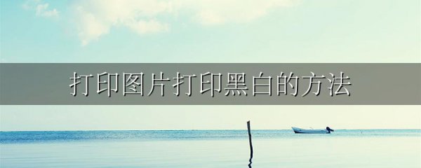 打印图片打印黑白的方法
