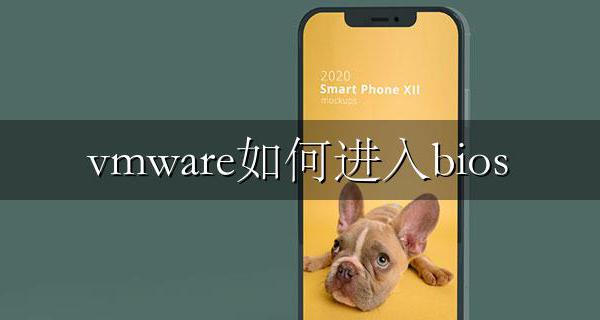 vmware如何进入bios vmware虚拟机bios设置教程
