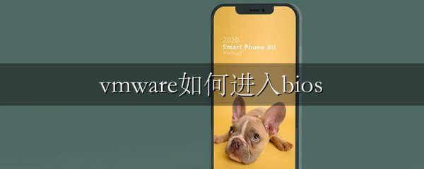 vmware如何进入bios