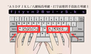 打字的时候手应该怎么放