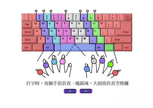打字的时候手应该怎么放