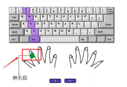 打字的时候手应该怎么放