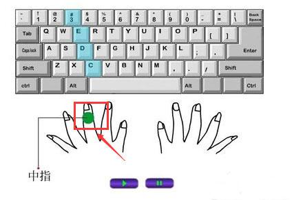 打字的时候手应该怎么放