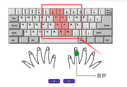 打字的时候手应该怎么放