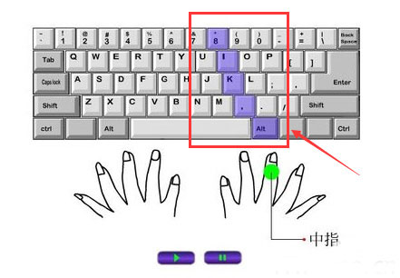 打字的时候手应该怎么放
